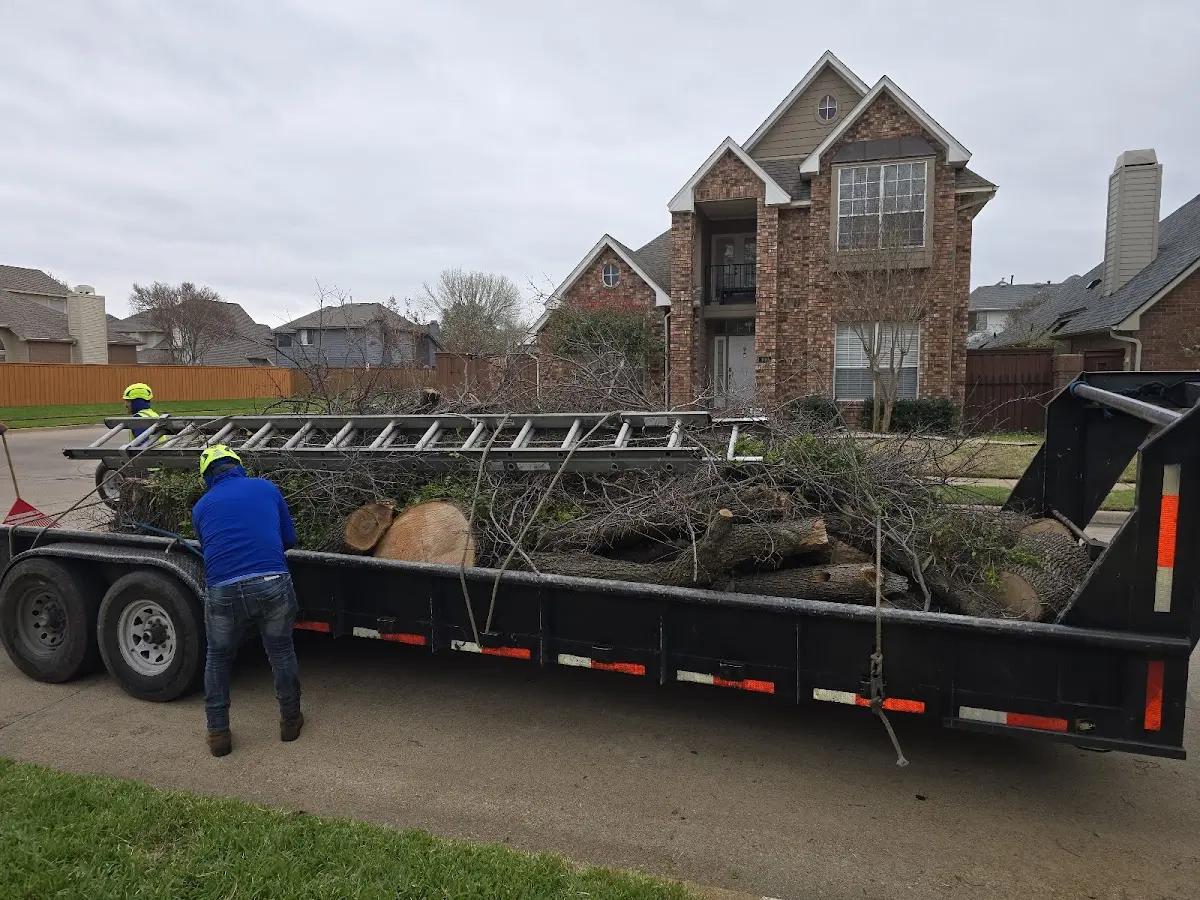 Expert Tree Fertilization with proper safety equipment in Couderay